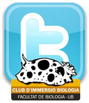 @CIBsub, el compte del CIB a Twitter