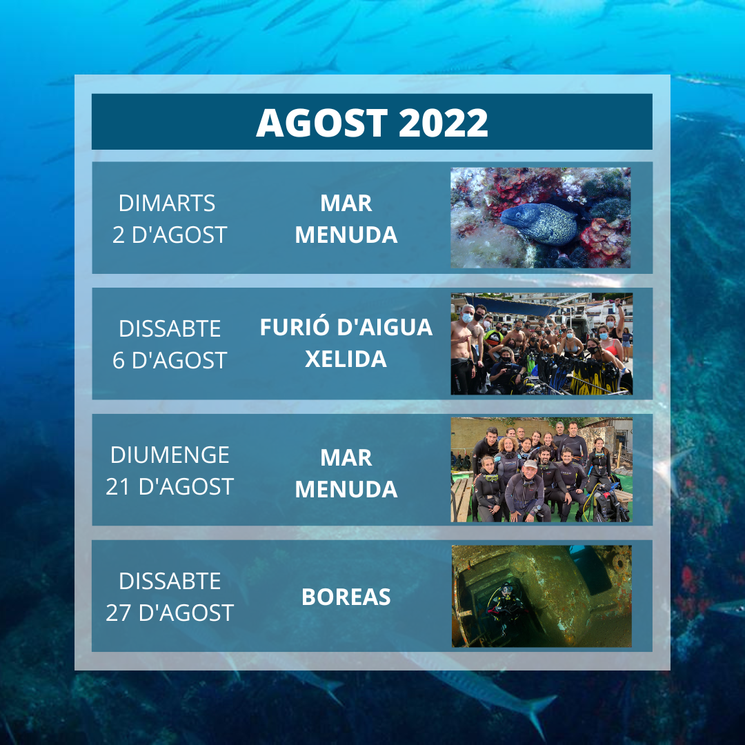 AGOST 2022