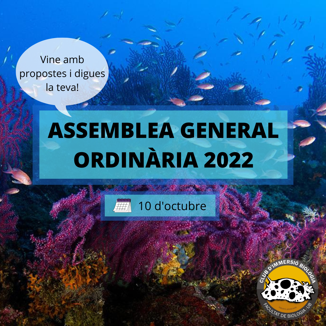 ASSEMBLEA GENERAL ORDINARIA