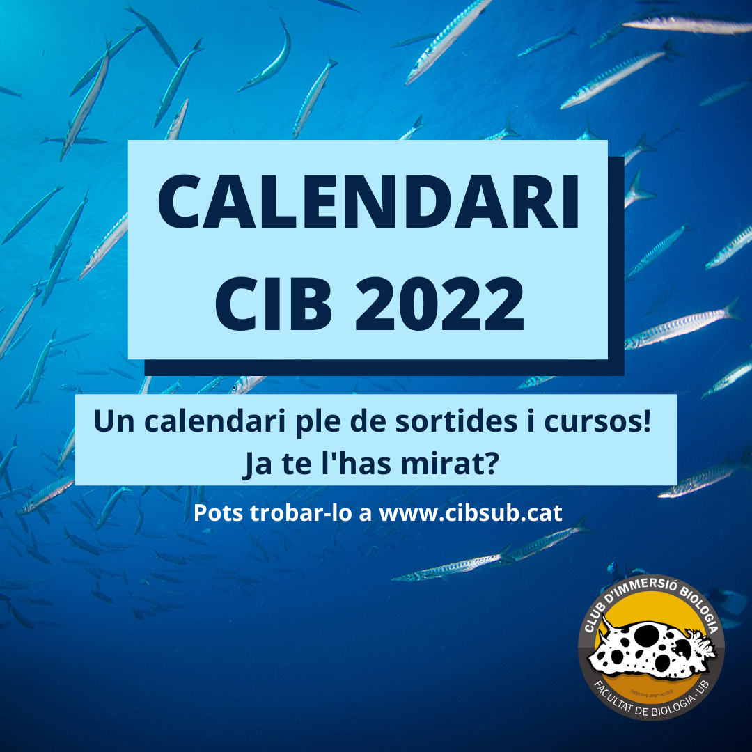 CALENDARI CIB 2021 5