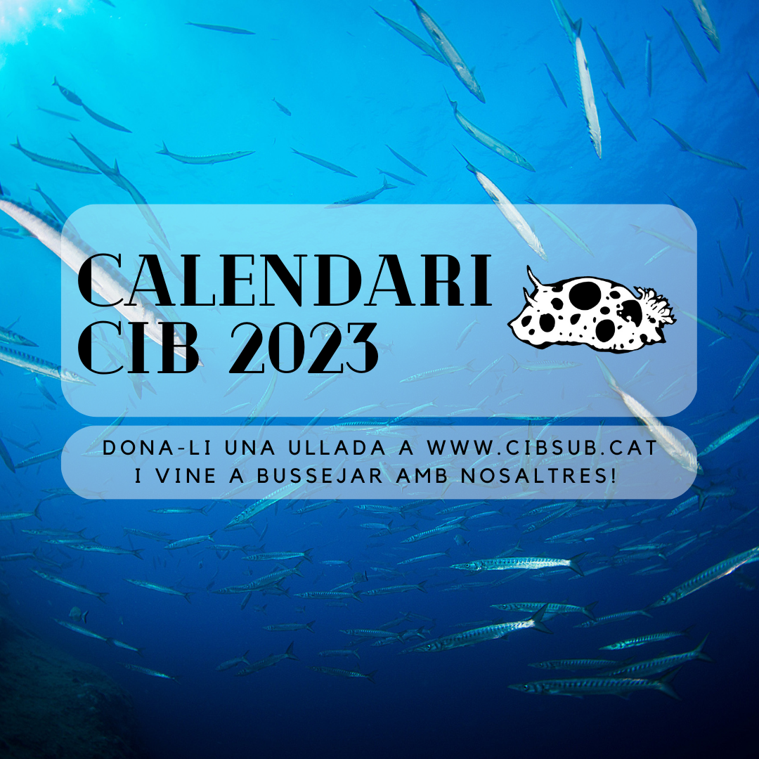CALENDARI CIB 2023 5