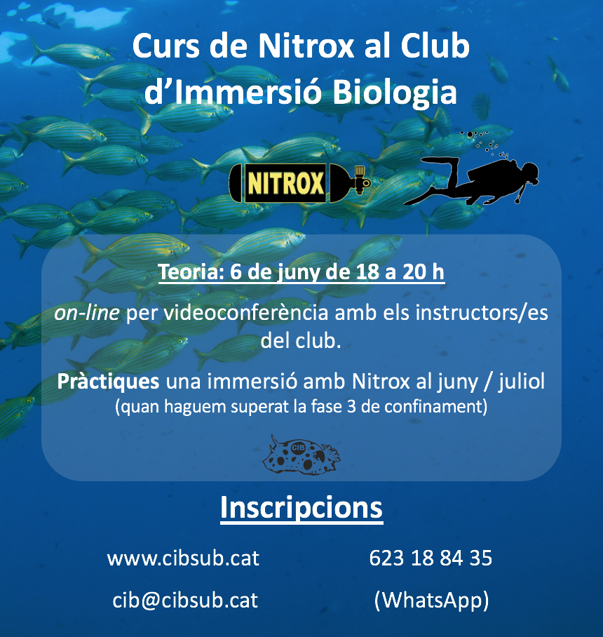 CIB CURSOS Anunci 11