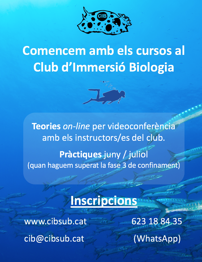 CIB CURSOS Anunci 6