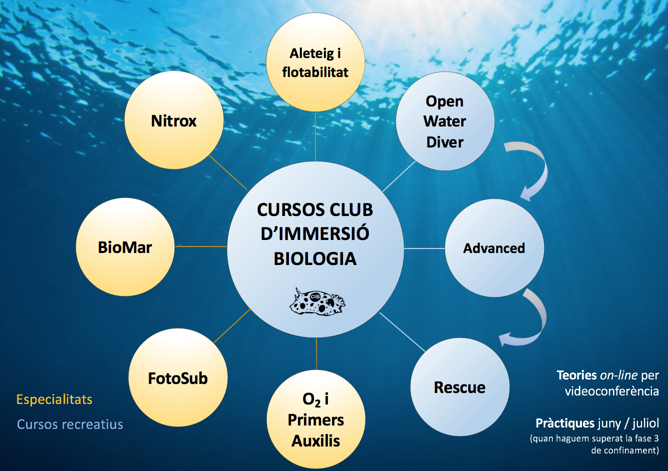 CIB CURSOS Anunci 9
