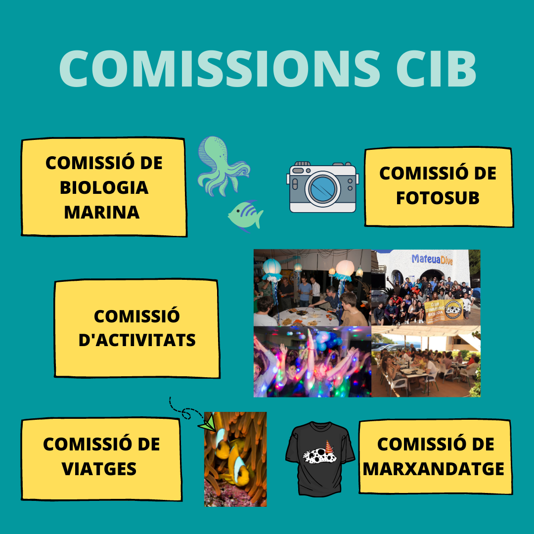 COMISSIONS CIB
