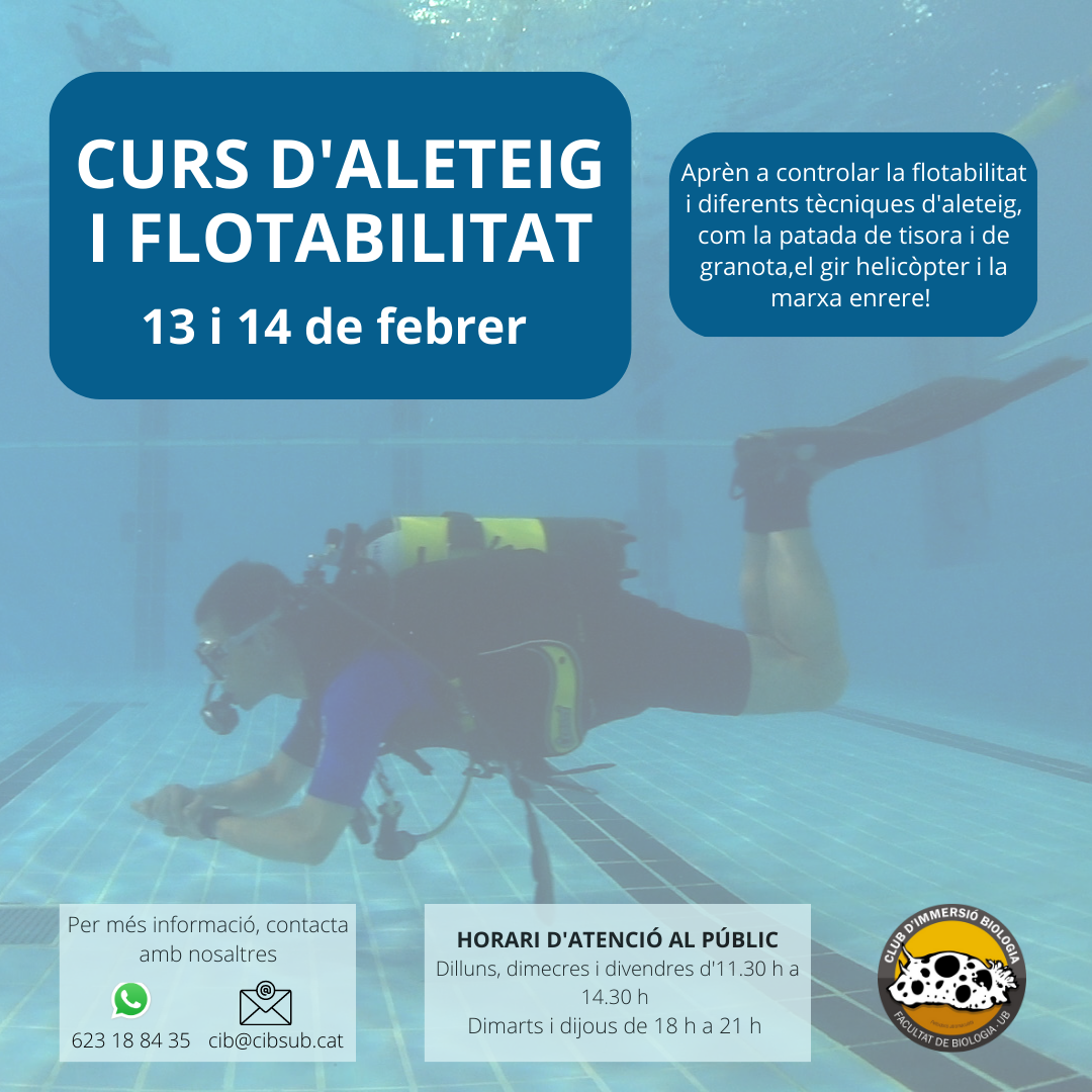CURS D ALETEIG I FLOTABILITAT 1