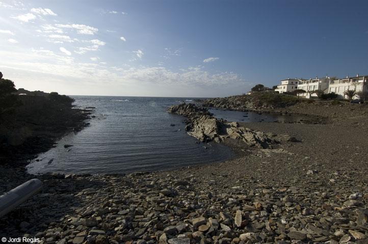 La platja de Caials