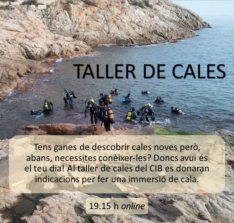 Captura de pantalla 2020 12 09 a les 13.18.35