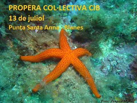 Col lectiva 5 1