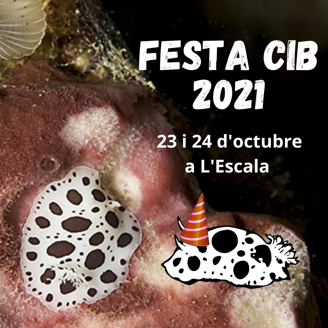 Copia de FESTA CIB 2021