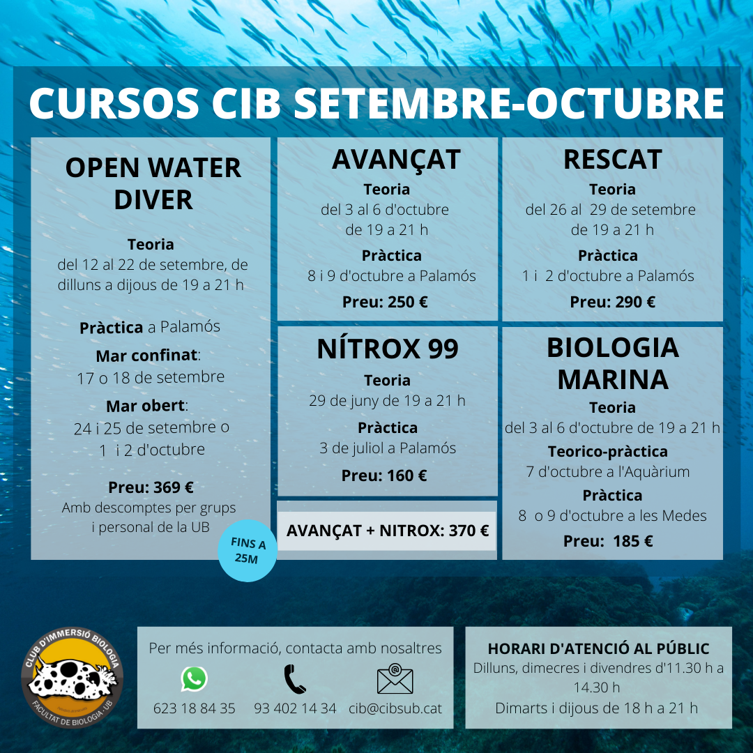 Copia de PROPERS CURSOS DEL CIB