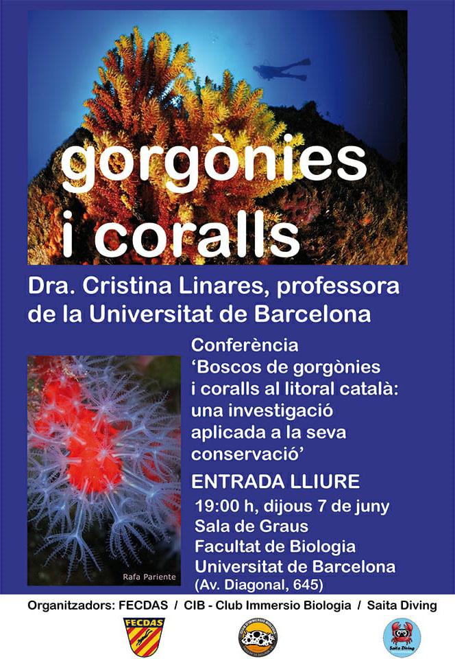 Corall 2