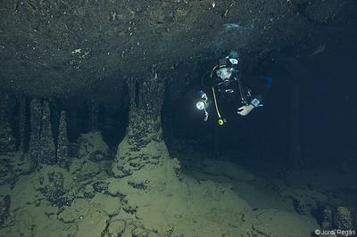 Coves