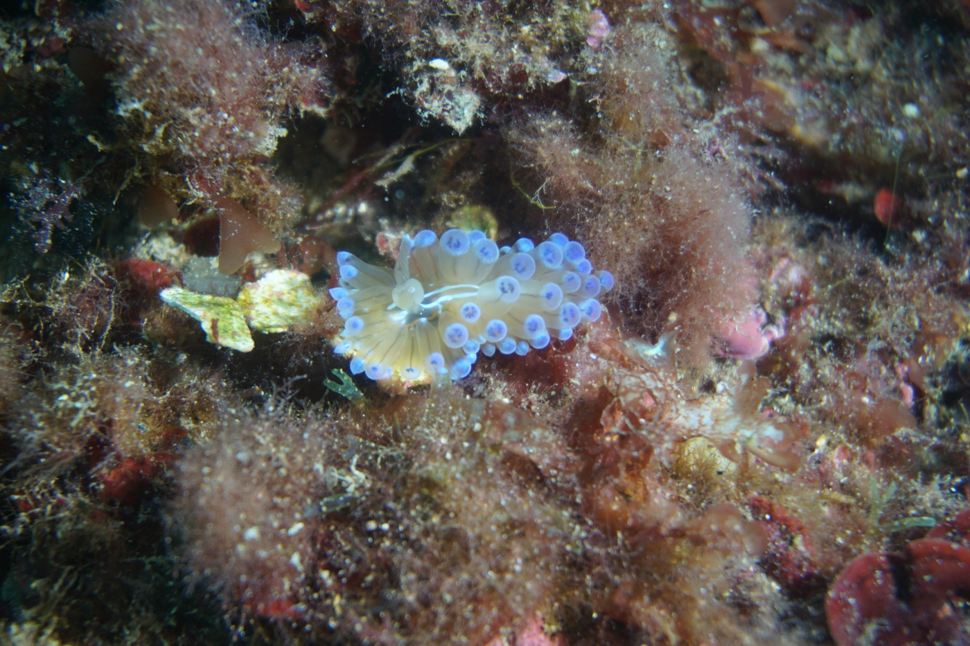 DSC01028