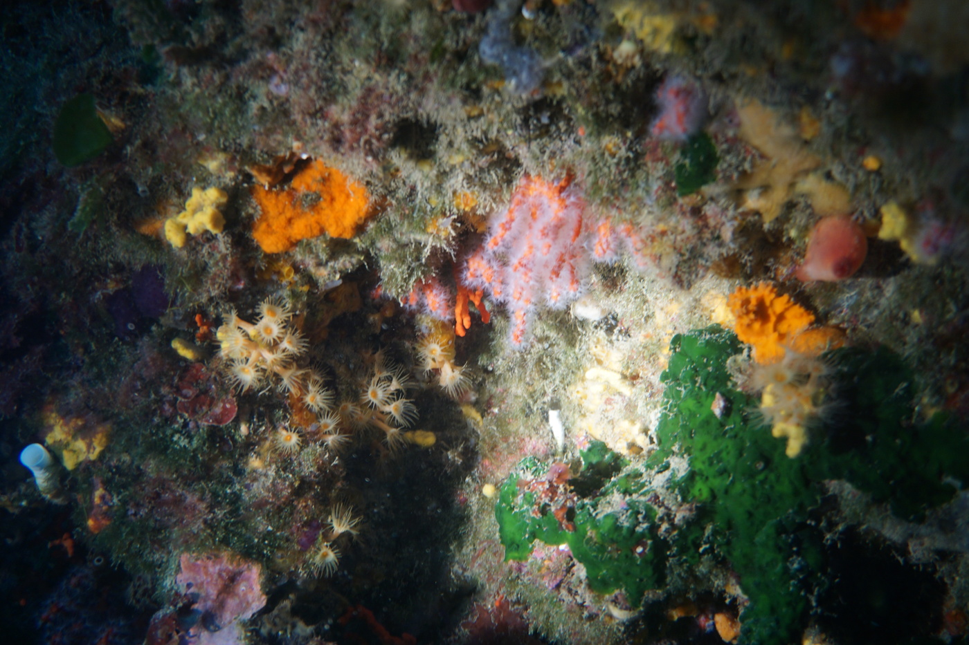 DSC01046