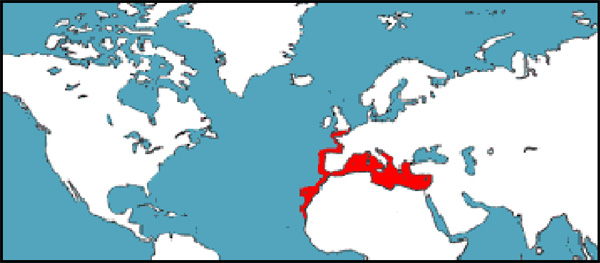 Distribución geográfica