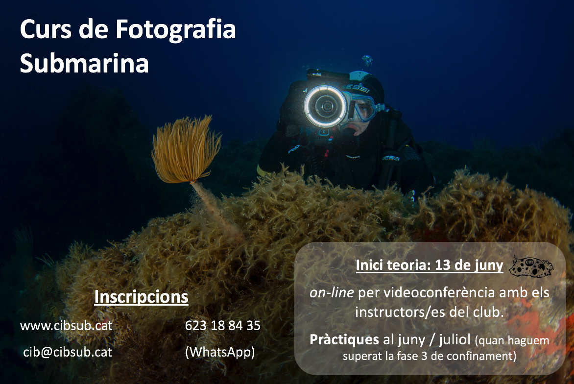 FOTOSUB