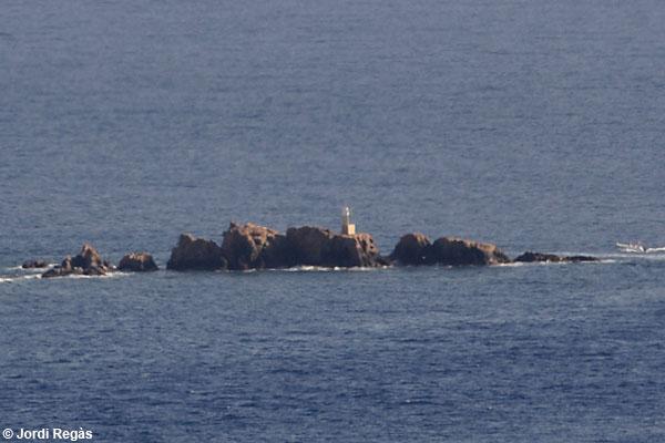Les illes Formigues