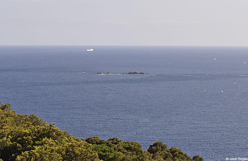 15 boies entre Platja d'Aro i Palafrugell
