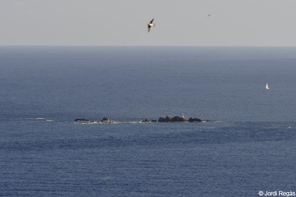 El Ministerio concreta el projecte de la reserva marina d'interés pesquer