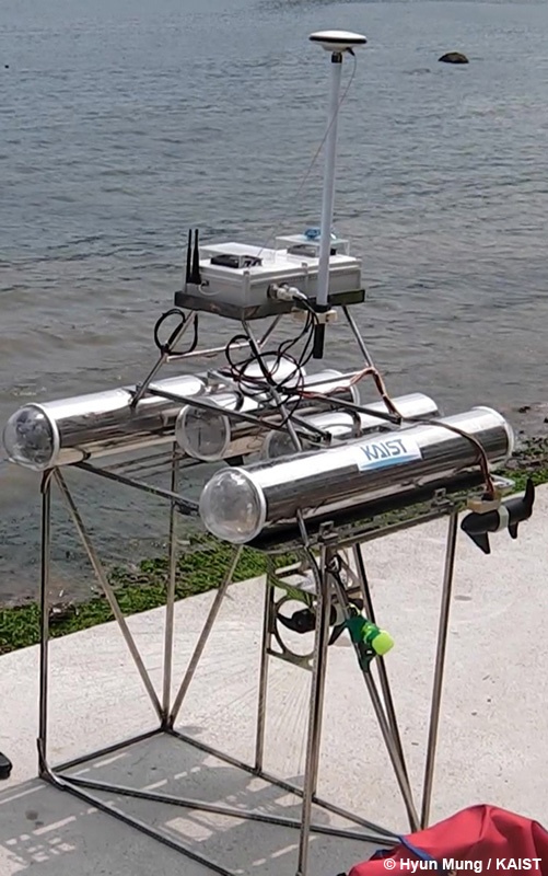 L'hèlix tritura les meduses