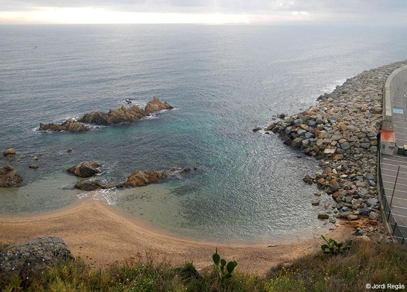 Vista enlairada de la cala on s'accedeix còmodament a l'aigua
