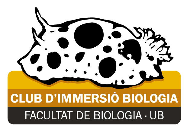 Logo CiB