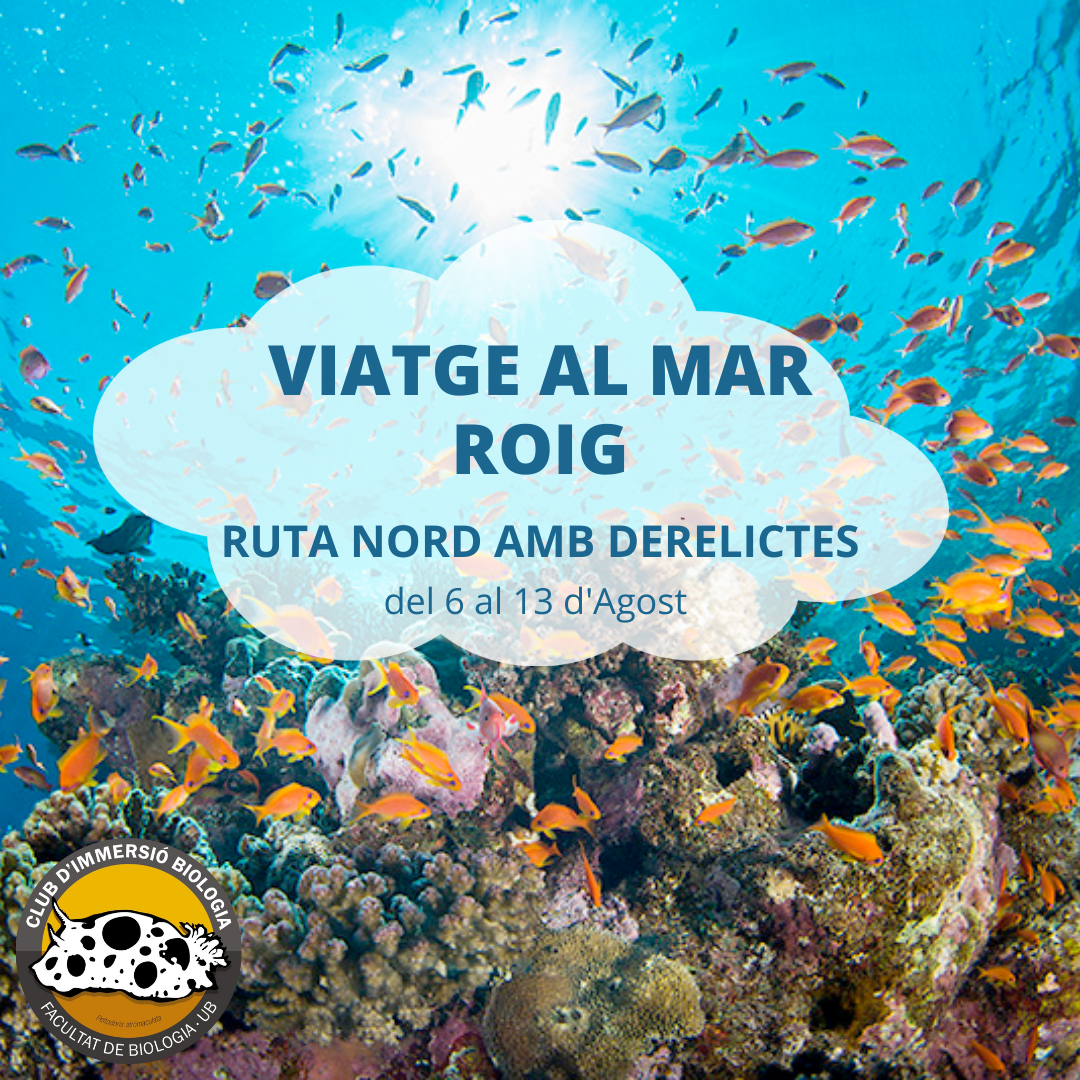 MAR ROIG