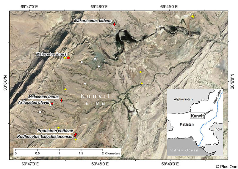 La troballa l'han fet al Baluchistan