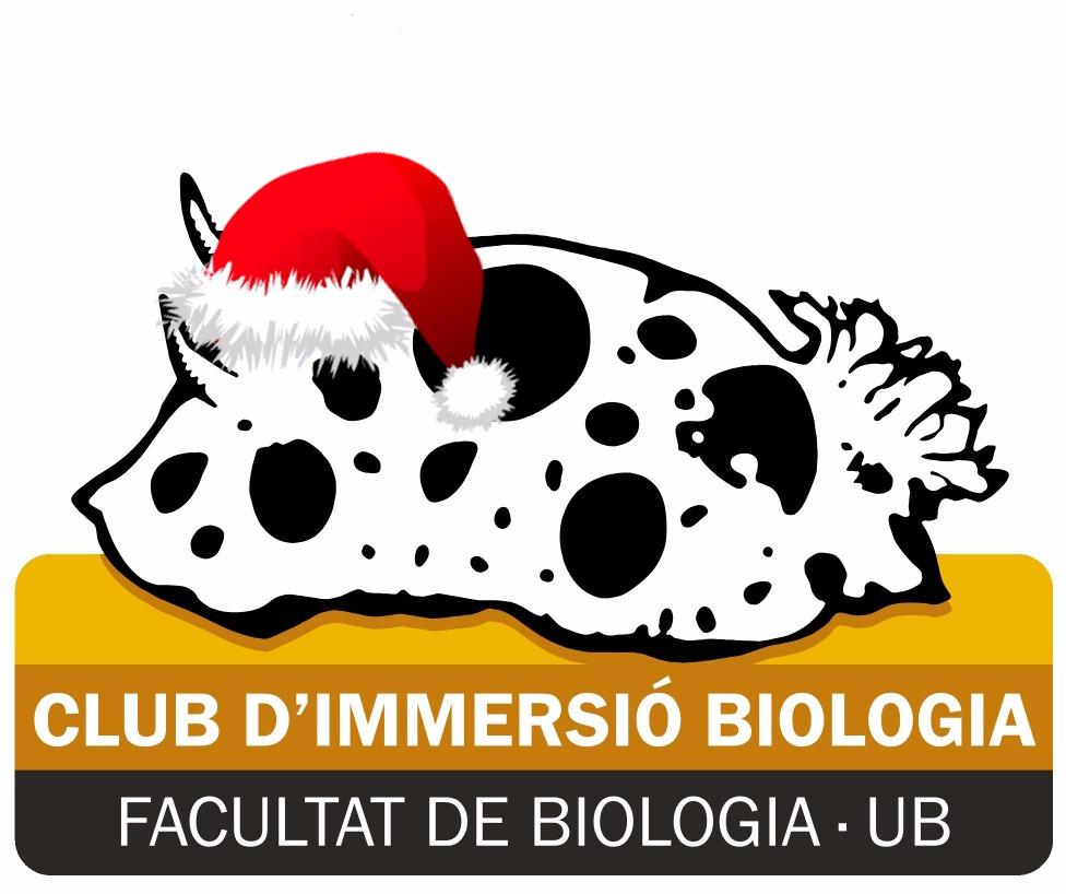 NUDIPAPANOEL