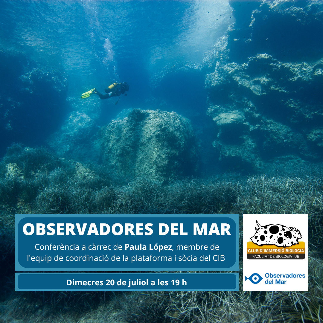 OBSERVADORS DEL MAR 4