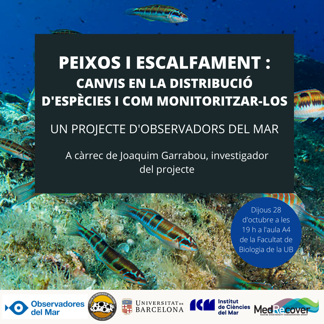 PEIXOS I ESCALFAMENT 1