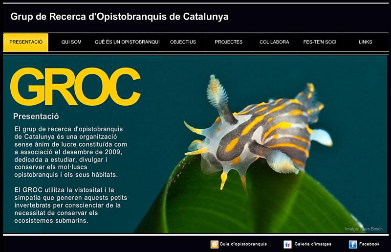 Portada GROC