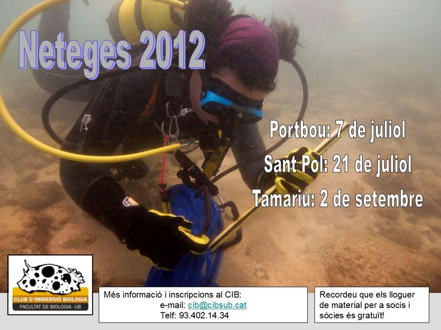 Calendari de neteges