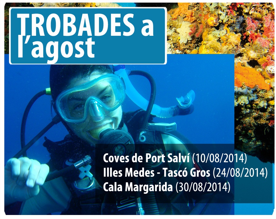 Publi trobades agost 2014