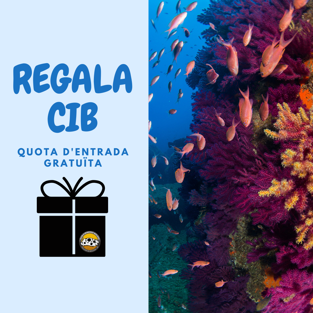 REGALA CIB