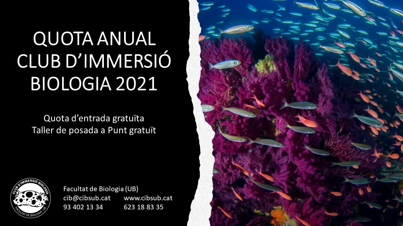 Regala CIB 2021