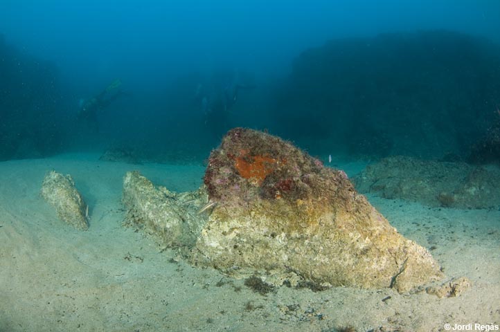 A 20m de fondària, roques amb la base descoberta mostren la virulència del temporal