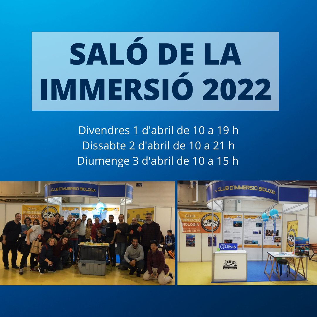 SALO DE LA IMMERSIO 2022