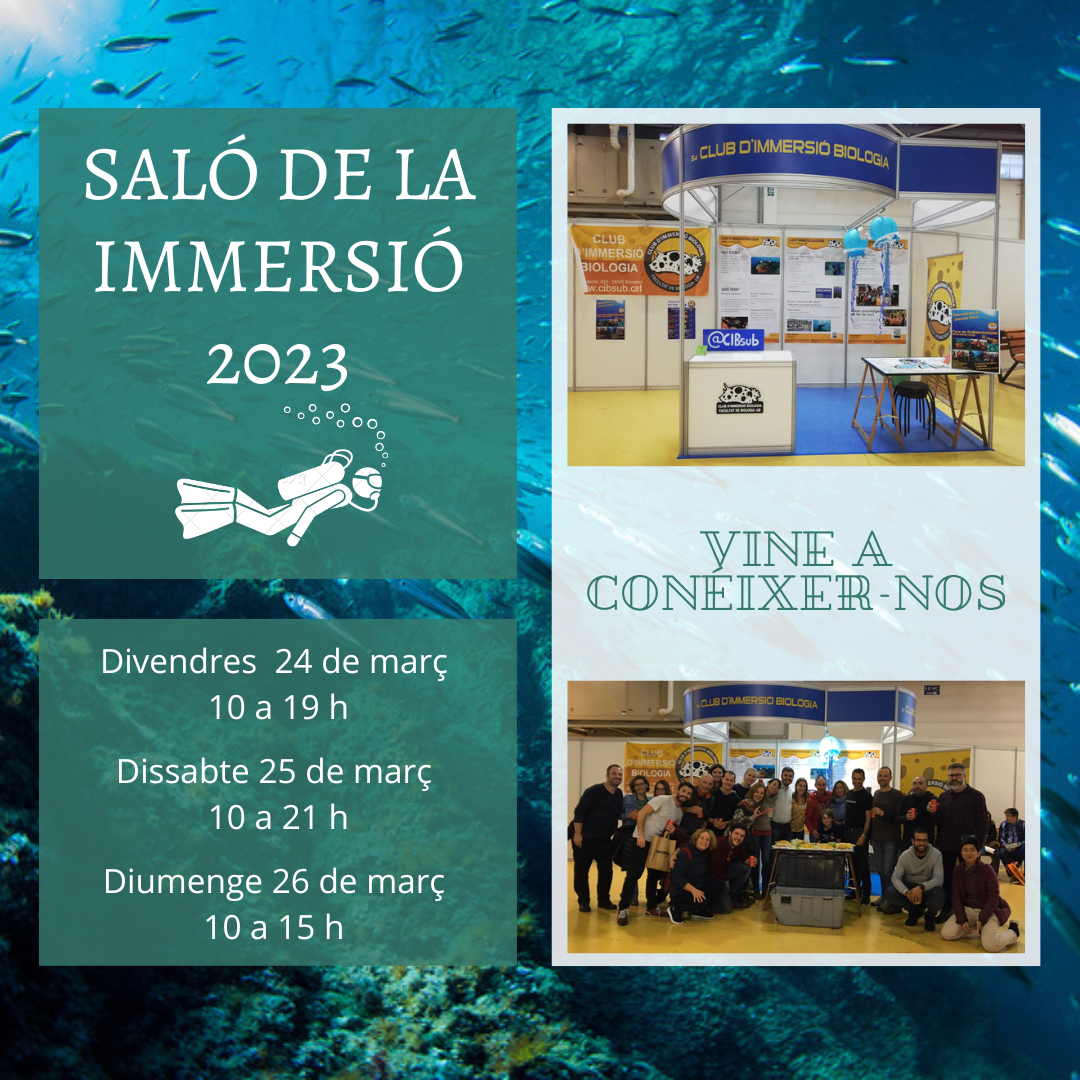 SALO DE LA IMMERSIO 2023
