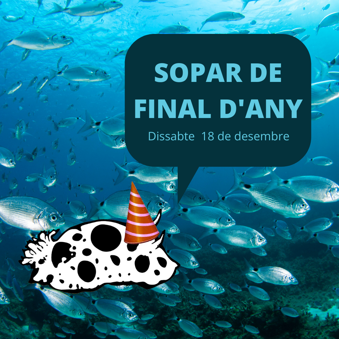 SOPAR DE NADAL 2
