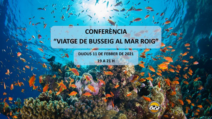 Imatge de Jordi Regàs