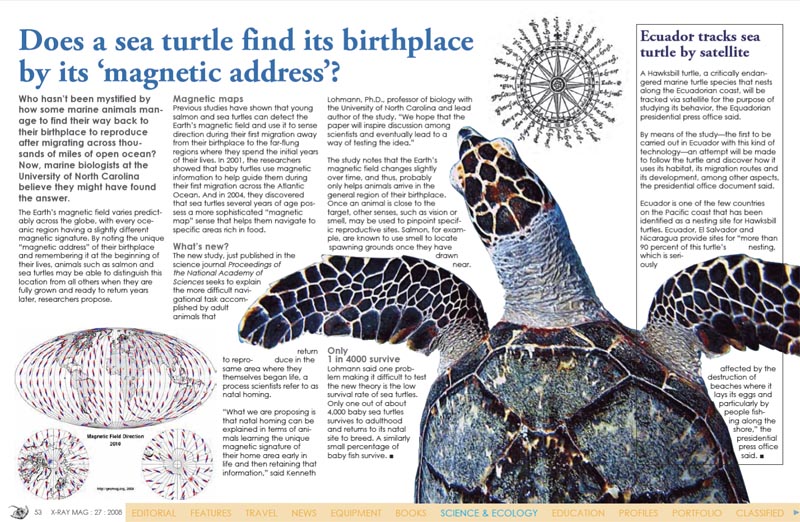 Tortugues