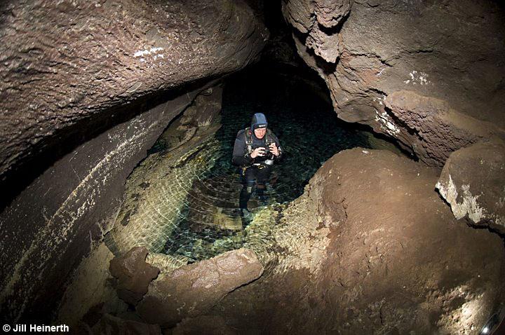Interior del túnel de lava, on han trobat aquest cranc