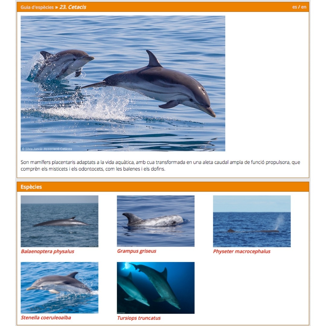 WhatsApp Image 2022 04 27 at 18.14.23