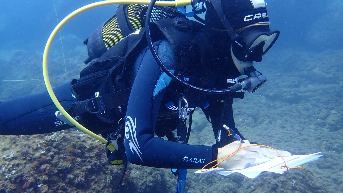 WhatsApp Image 2024 09 09 at 13.33.11