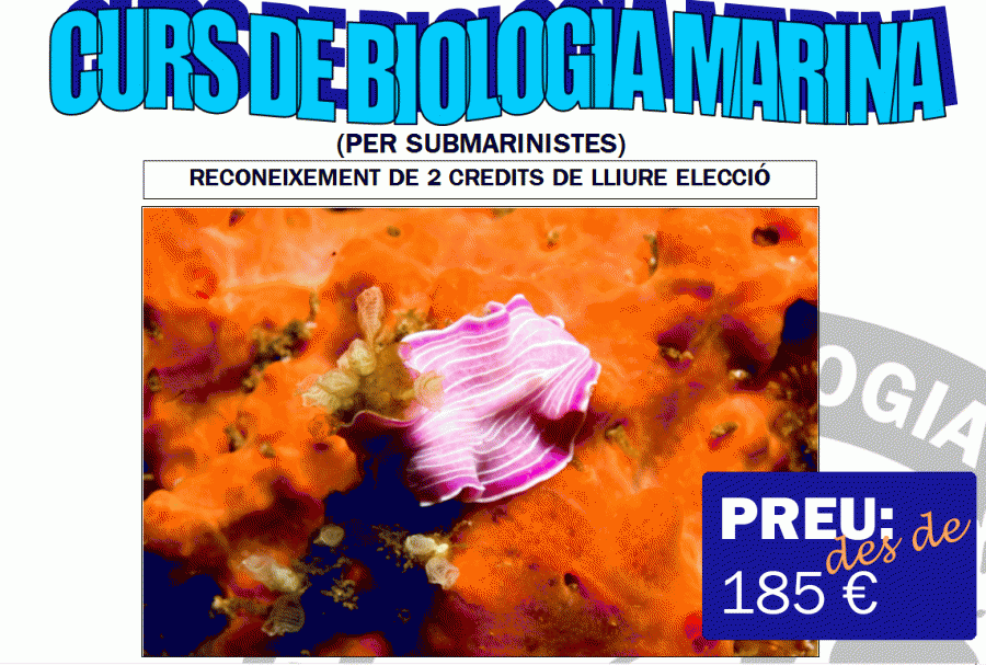 bio marina web