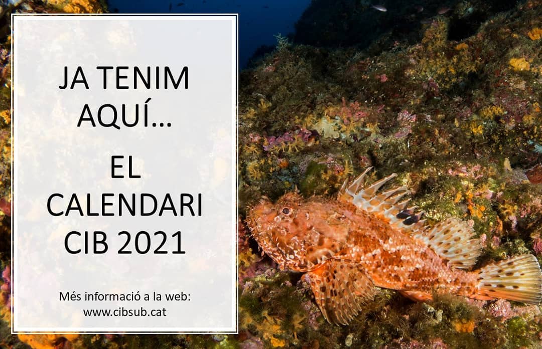 calendari 2022
