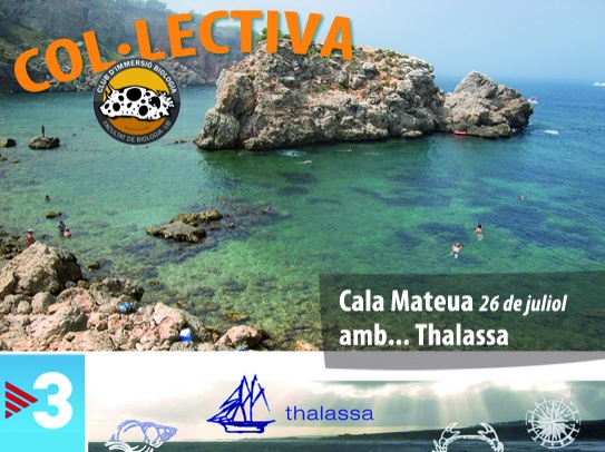 cartell copia 1