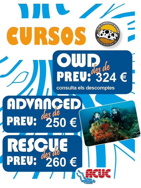 cursos promocio 2014 web04